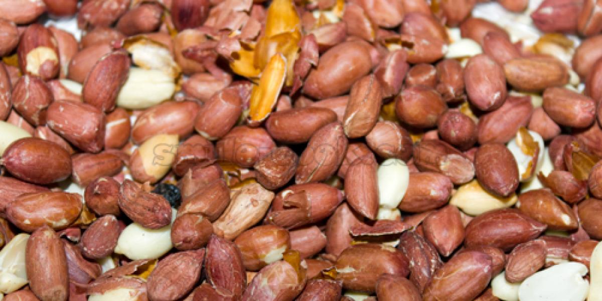 нечищений арахіс нечищений арахіс