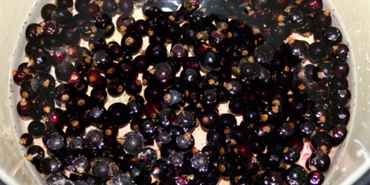 чорна смородина